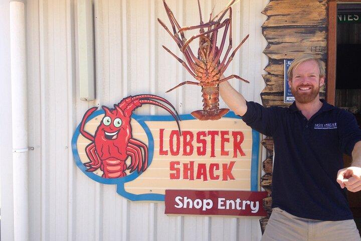 Pinnacles Lobster Yanchep Small Group Day Tour from Perth