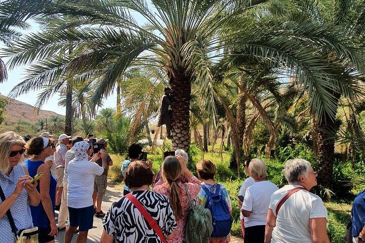 Muscat City Tour med All Language Guide