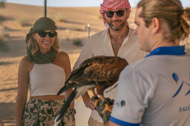 Dubai: Royal Falconry Training Experience
