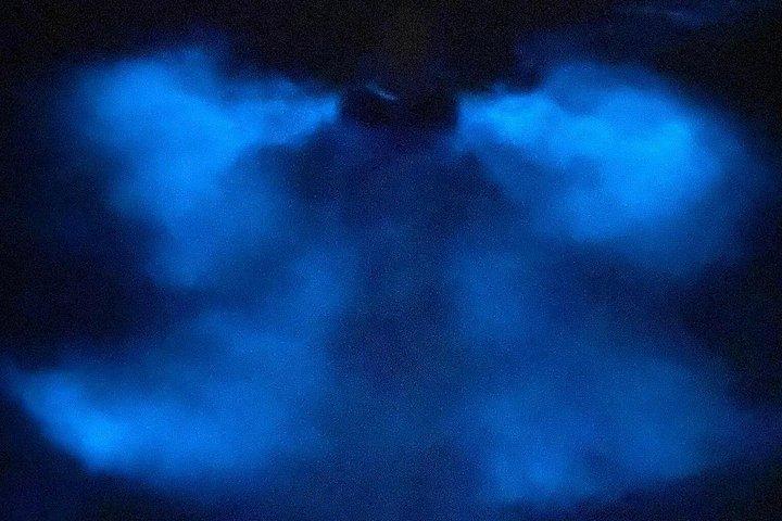 オーランド近郊の生物発光カヤックツアー
