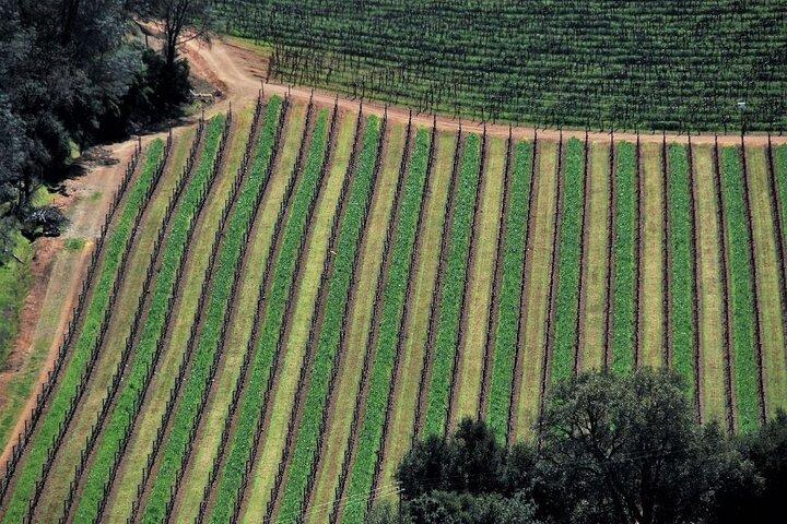 Airplane Napa Valley Flight Tour