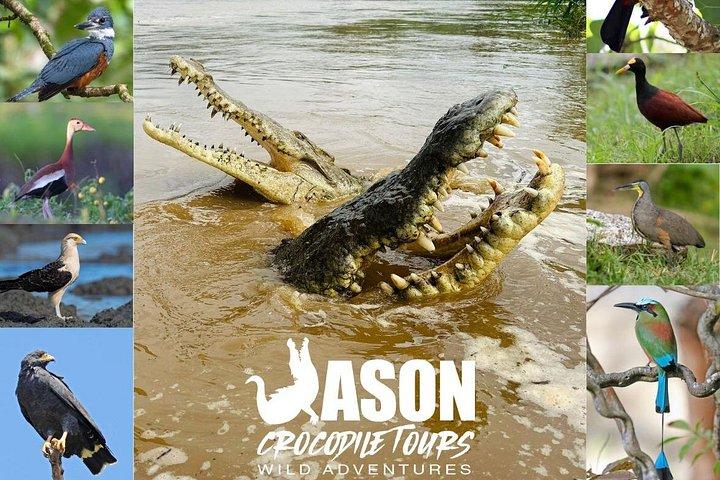 Jason Crocodile Tours