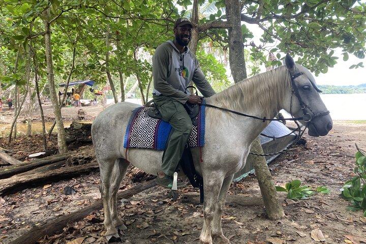 2 heures de randonnée à cheval sur la plage à Puerto Viejo