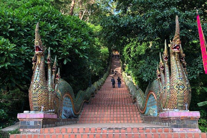 Halvdags Doi Suthep Temple & Mae Ping River krydstogt (privat)
