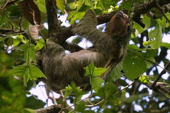 Randonnée en cascade de 6 heures et activité de bouée tractée à Rio Celeste