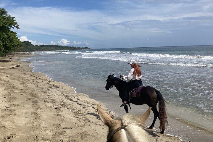 2 heures de randonnée à cheval sur la plage à Puerto Viejo