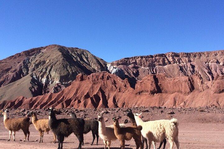 Tour Privado: Vale do Arco-Íris + Petróglifos em San Pedro de Atacama