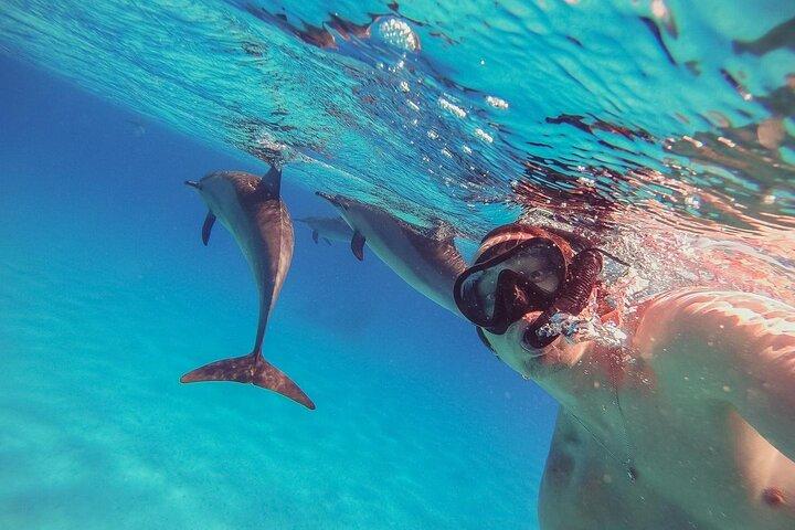 Schnorcheln mit Delfinen und Mittagessen in den Sataya-Riffen von Marsa Alam