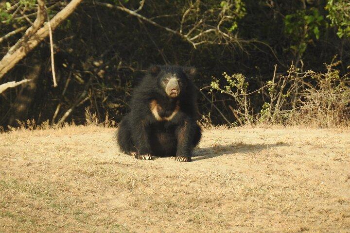 終日サファリ - ヤラ国立公園 - 午前4時半から午後6時まで