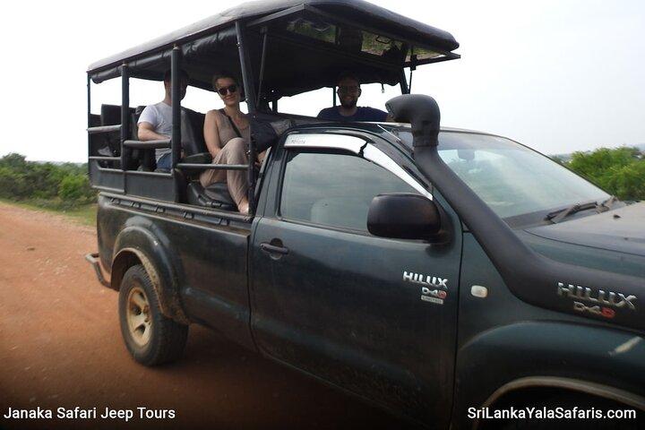 Spezielle Yala-Safari ab Hambanttota Hafen Yala Nisha Safari