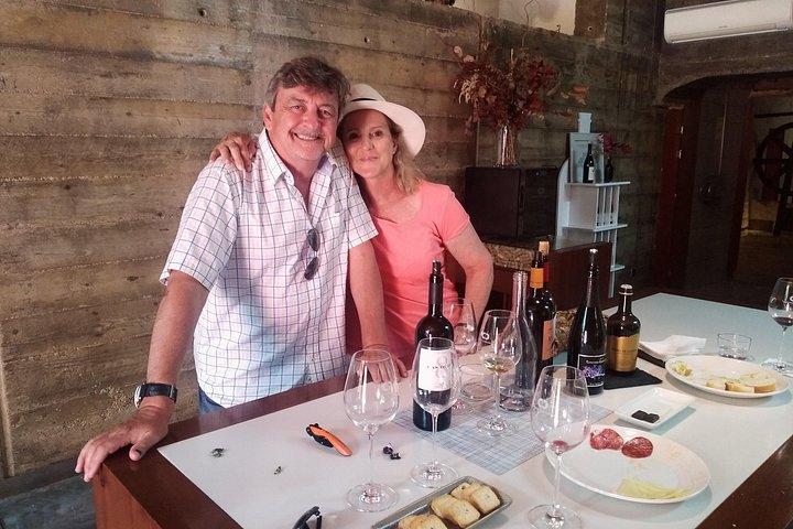 Pago Vineyards & Premium Wines 1/2 Day Requena -Private