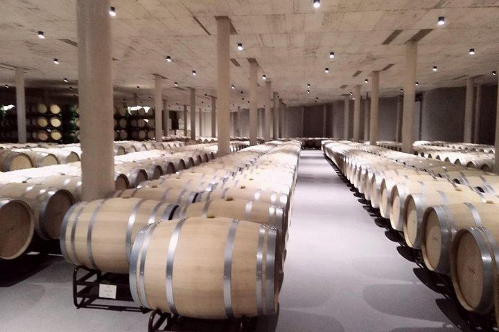 Pago Vineyards & Premium Wines 1/2 Day Requena -Private