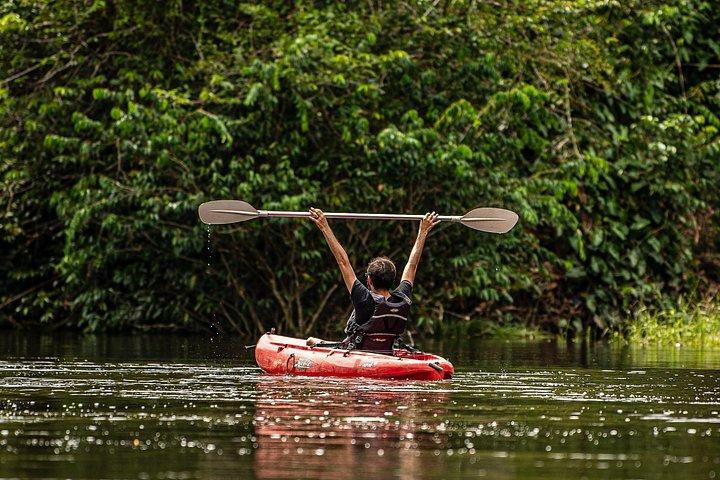 6-Day Guided Kayak Expedition in the Amazon