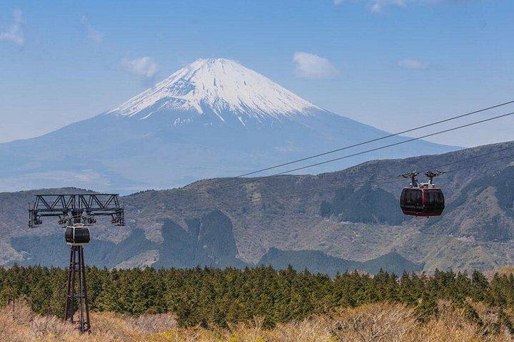 Private Hakone-Tour mit einem Luxus-Van