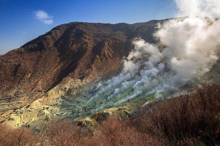 Private Hakone-Tour mit einem Luxus-Van