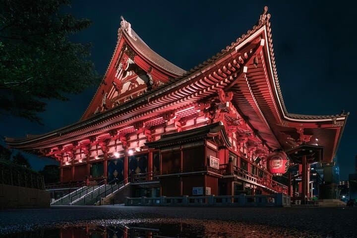 Tokyo Private Tour with Luxury Van