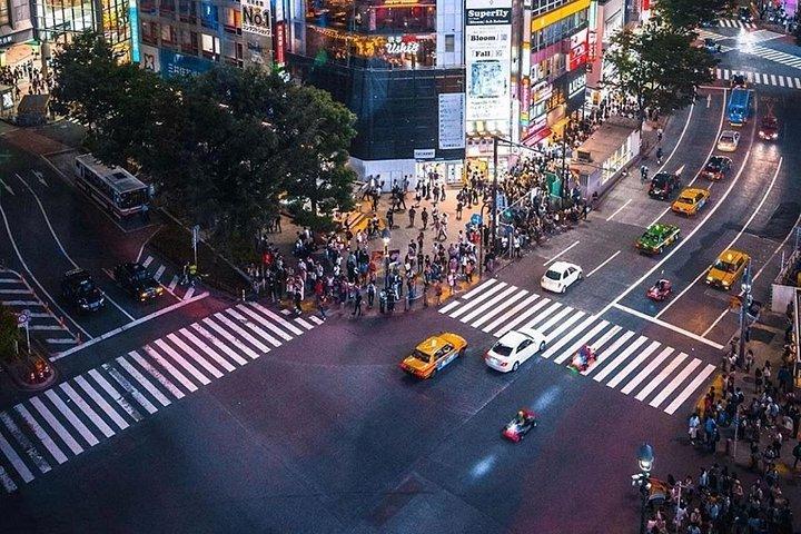 Tokio: Private Tour mit Luxus-Van