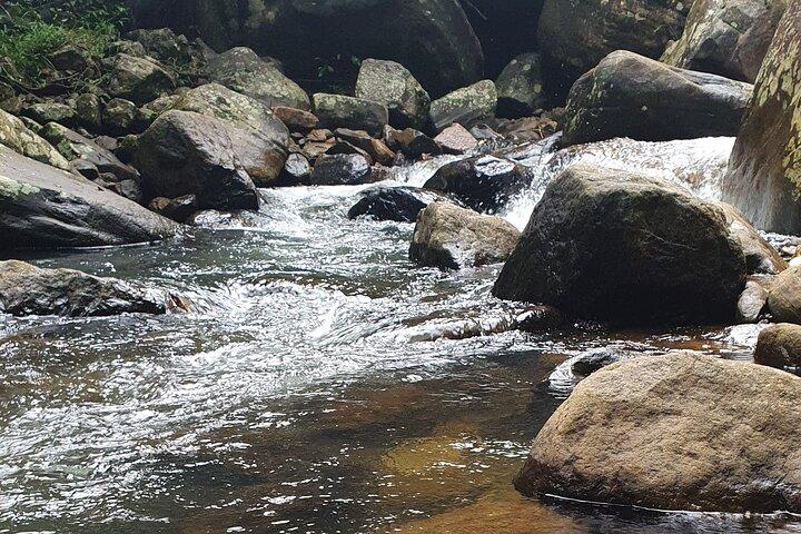 Tour del parco nazionale di Ella e Yala