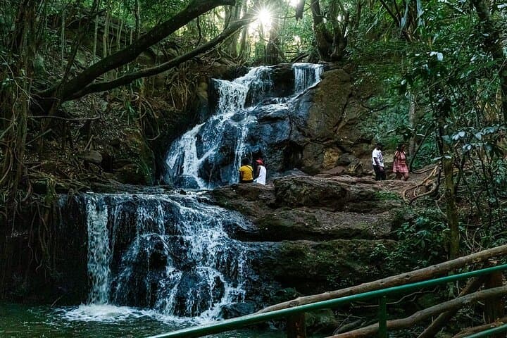 Karura Forest Hiking and Bike Tour