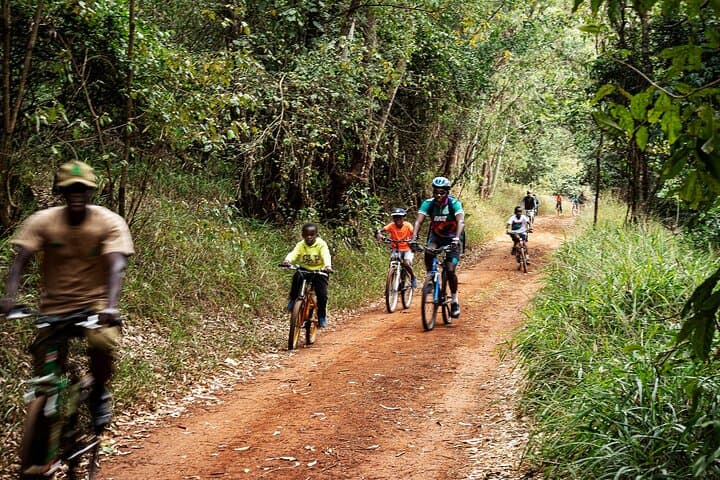 Karura Forest Hiking and Bike Tour