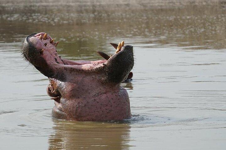 Murchison Falls 3-daagse tour met privévervoer
