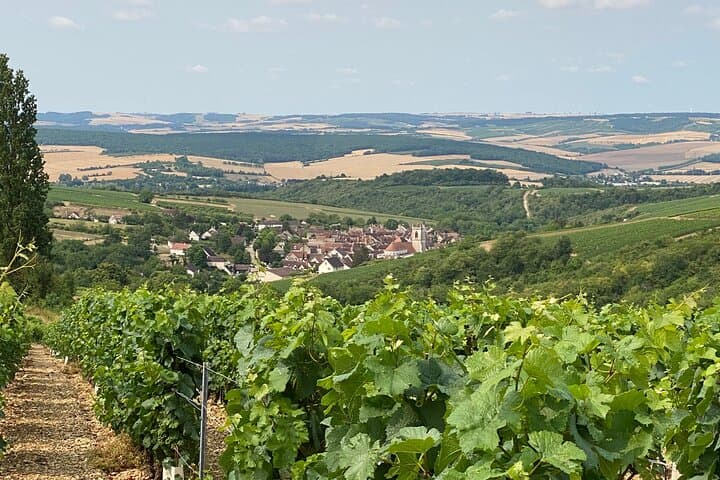 Chablis and Burgundy Wine Tour from Paris with Lunch & Sommelier