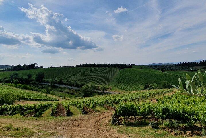 IL MAESTRO del Chianti Classico 3 Cantine Top Servizio Limousine