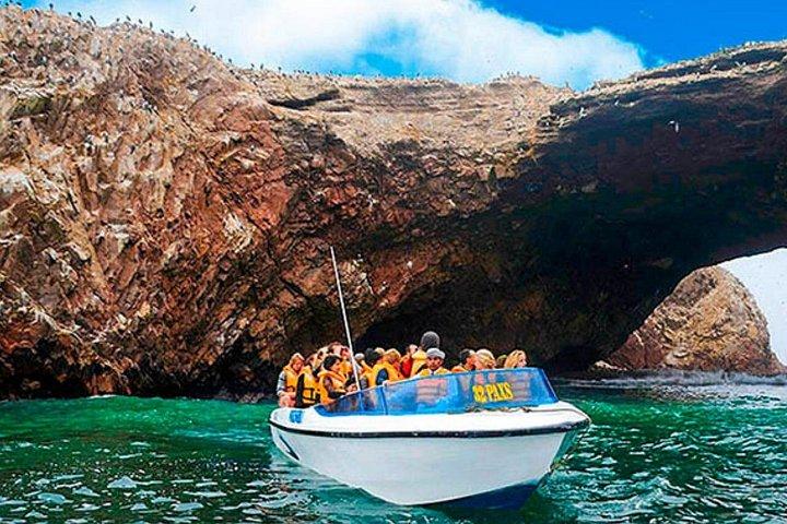 バジェスタス諸島、イカ、ワカチナ、そしてリマ発のセビーチェ教室