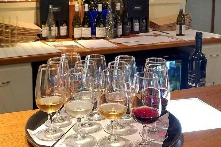 オークランド コースタル ディスカバリー - プライベート ツアー込みワイン試飲会