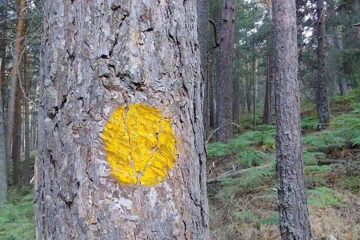 Stone Carving in Cercedilla/Madrid