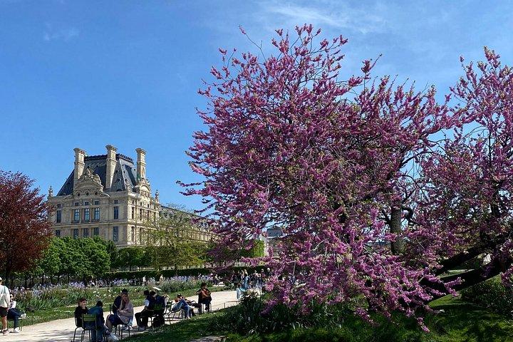 Hvordan Paris blev Paris: Notre-Dame til Louvre