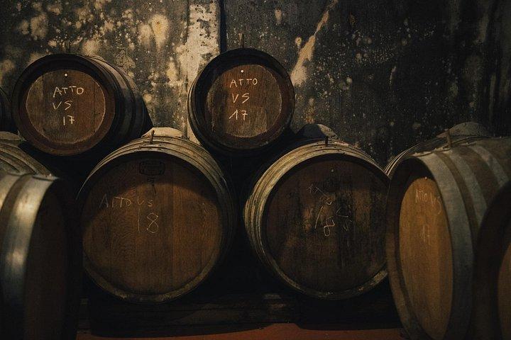 Vinoplevelse i Chianti Hills fra Firenze