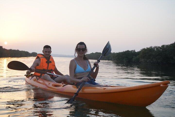 Mangrove Kayak Purple Island Adventure
