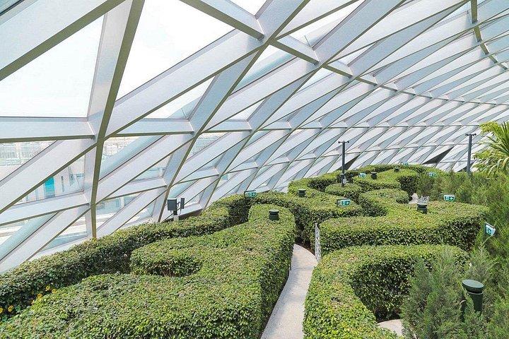 ジュエル チャンギ空港：キャノピー パーク入場券