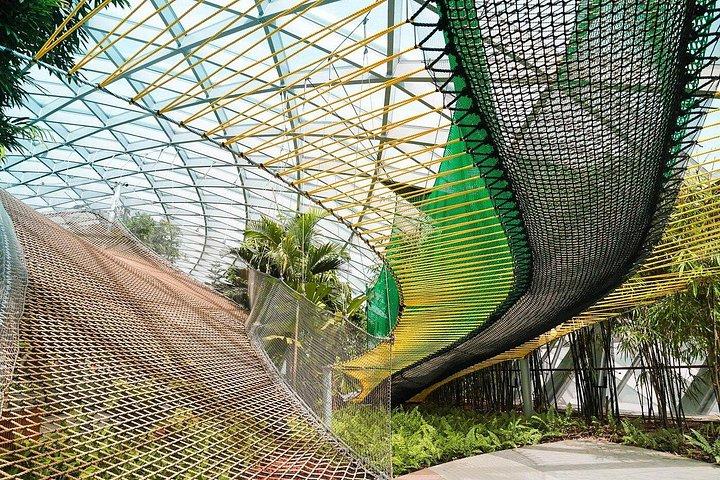 ジュエル チャンギ空港：キャノピー パーク入場券
