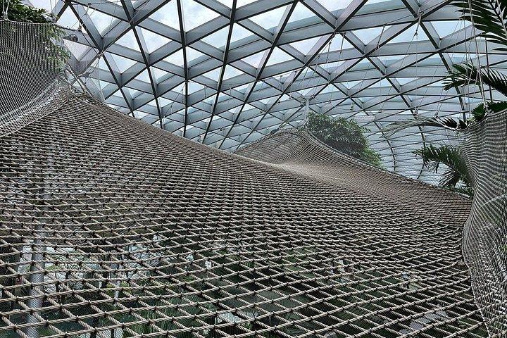 ジュエル チャンギ空港：キャノピー パーク入場券