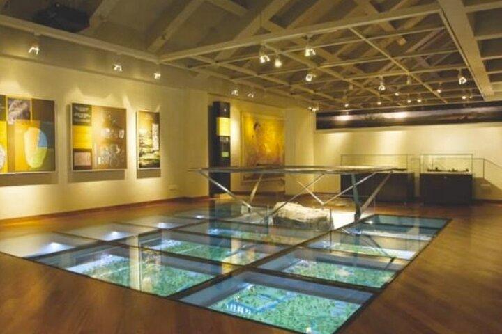 パシクダ発ミンネリヤ国立公園とシギリヤへの日帰り旅行