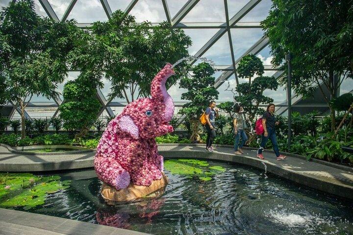Aéroport Jewel Changi : billet pour Hedge Maze et Canopy Park