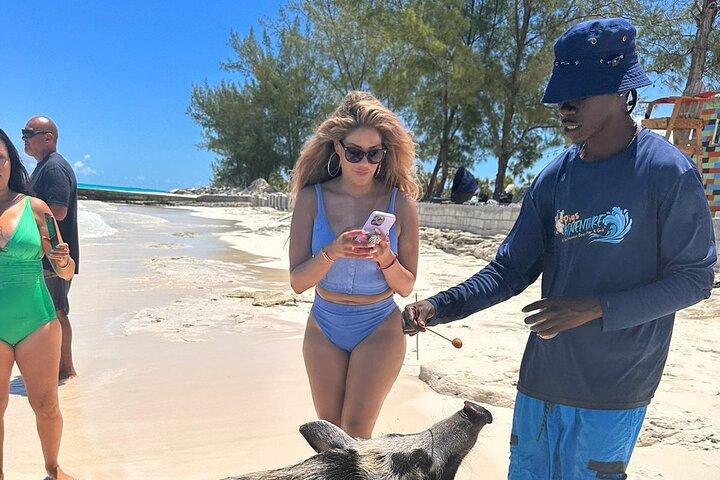 Privat Nassau Rose Island Båttur Simning Grisar, Sköldpaddor