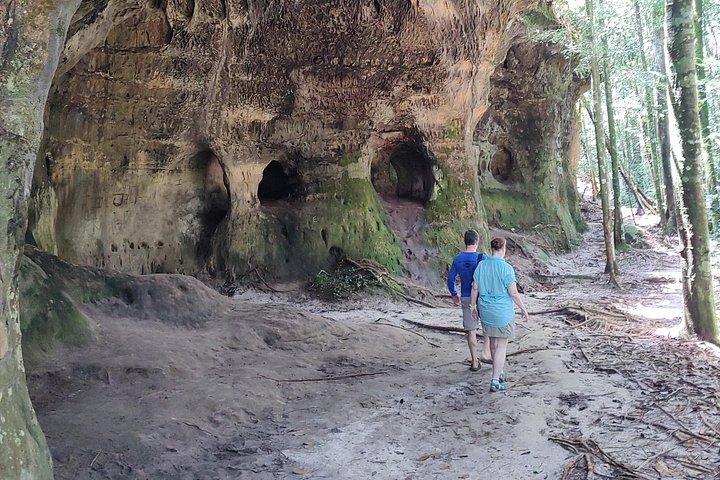 Um Dia na Floresta com Caminhadas, Cavernas e Cachoeiras