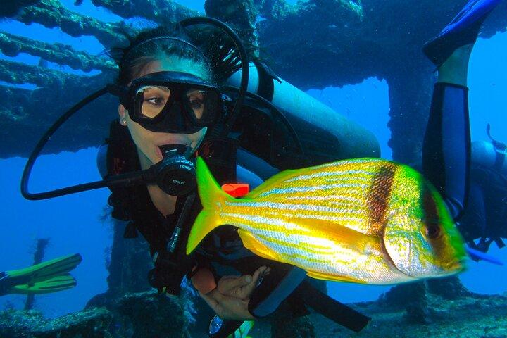 PADI Open Water Diving Certification Course Activity