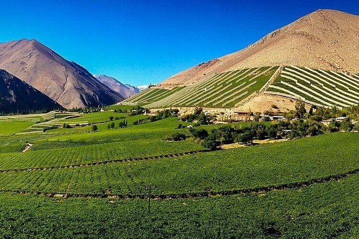 Tour della valle di Elqui: storia e sapori.