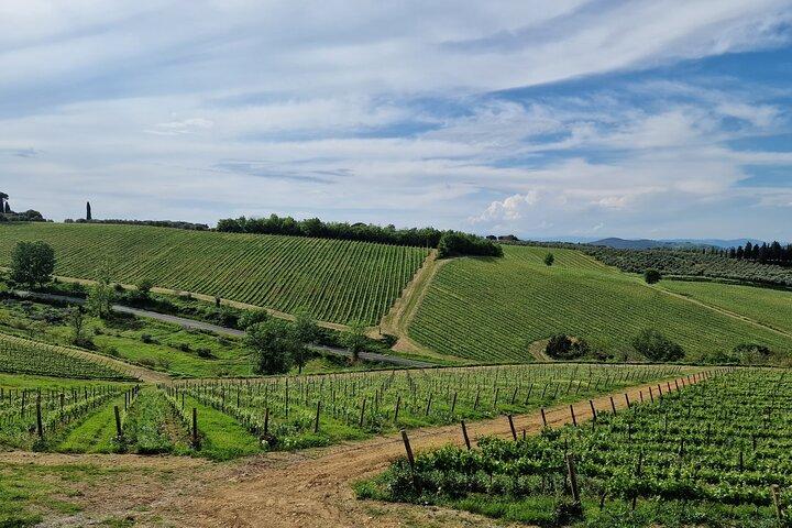 Wine Tours Chianti All inclusive Almoço e degustação de vinhos 1 vinícola
