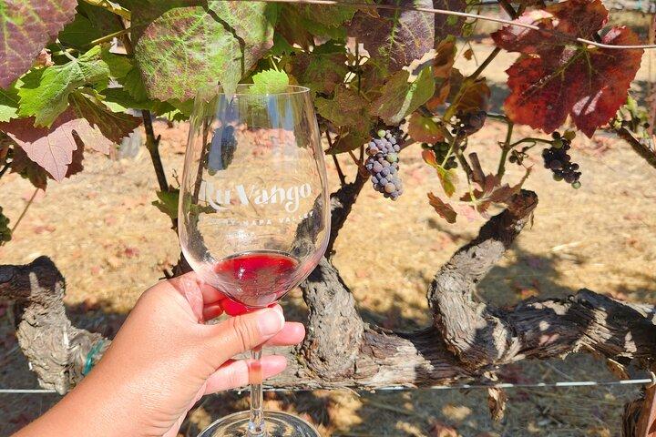 Excursion d'une demi-journée à Napa et Sonoma avec Guide et dégustations