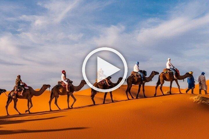 1 Noite de Camelo em Merzouga