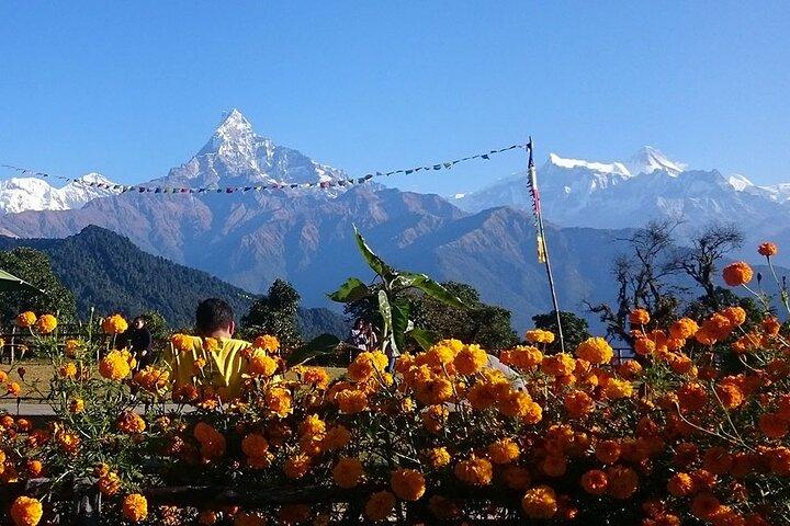Népal: 8 jours Katmandou Pokhara Chitwan Tour
