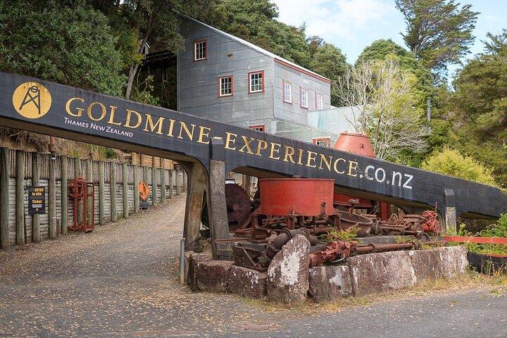 [Stevong Travel] West Coromandel Day Tour