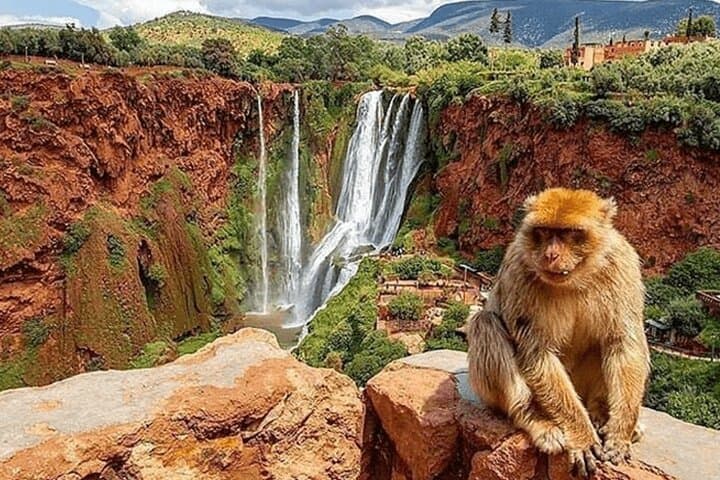 Small group Ouzoud Waterfall Guided Tour Boat Ride from Marrakech
