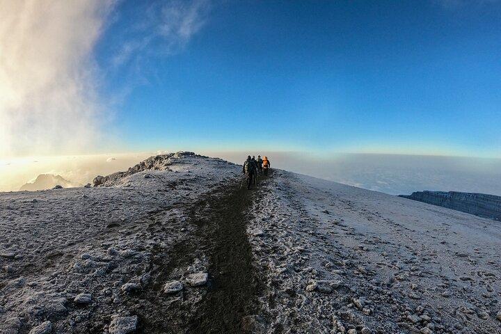 8 días escalando el monte Kilimanjaro (ruta Lemosho)