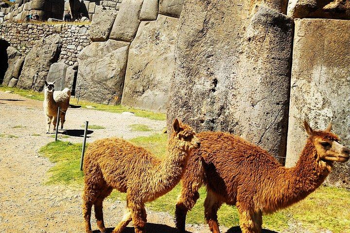 Cusco Markets and Ruins Small Group Tour